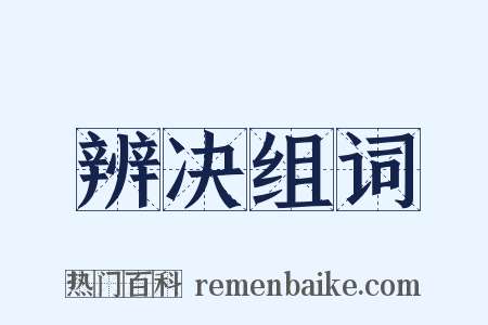 辨决组词是什么意思的图片